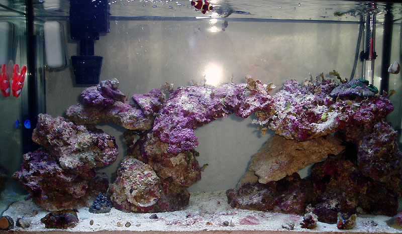 tank-03-14-05.jpg