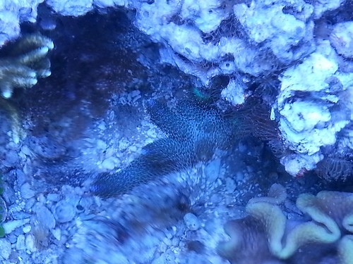 8760300806_0bbf514ba8.jpg