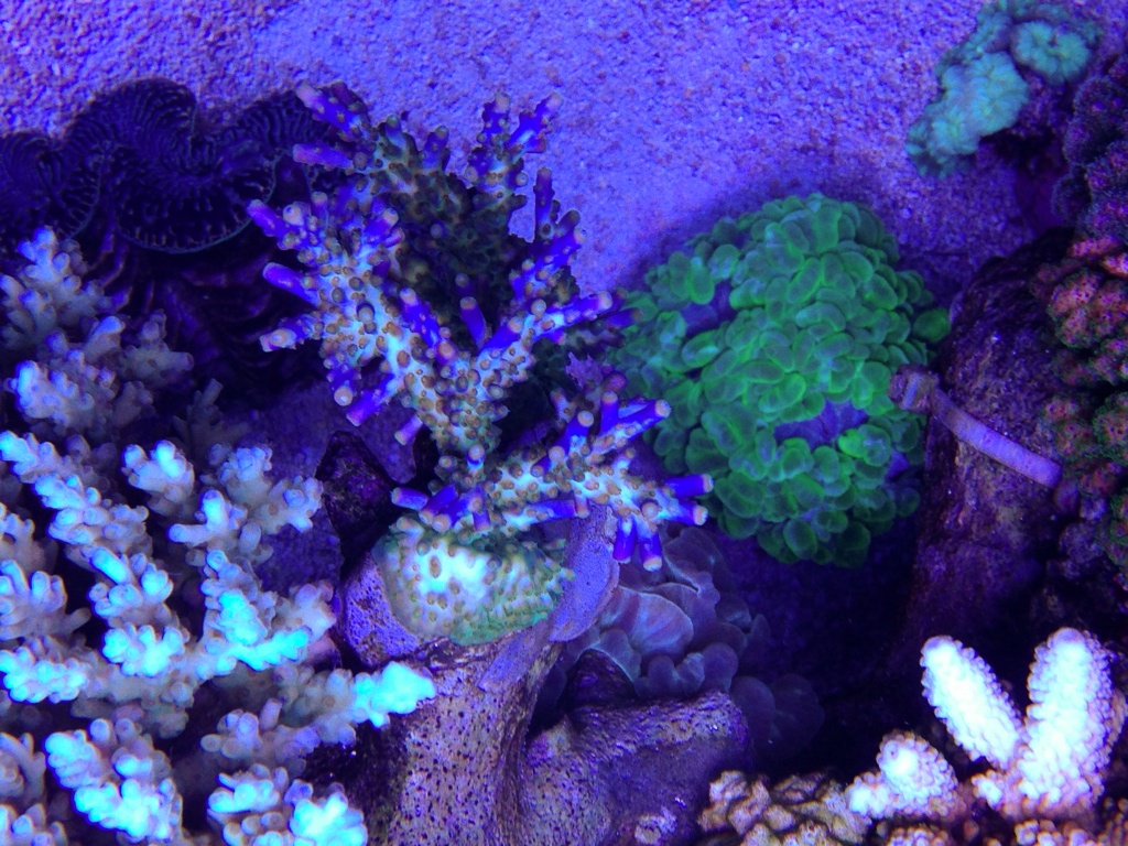 e8aquteb.jpg