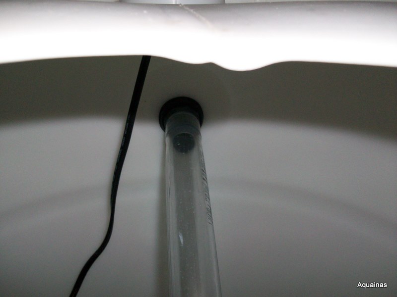 100_6541.jpg