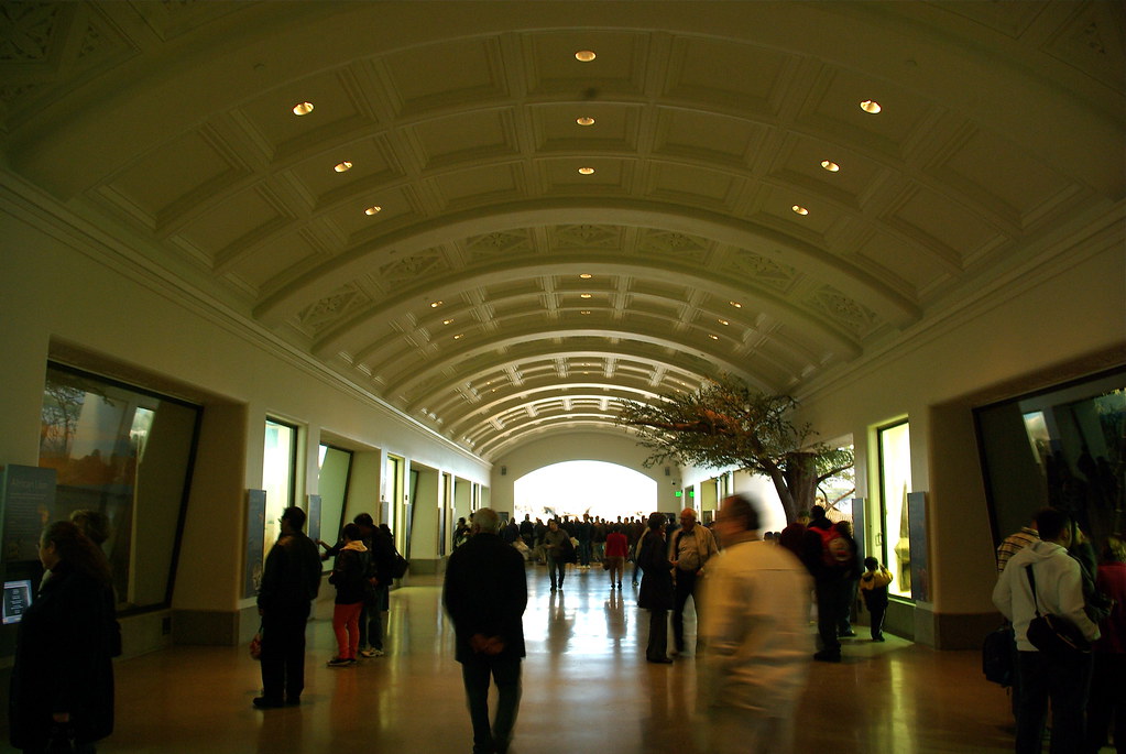 3139916307_40cfec2c12_b.jpg
