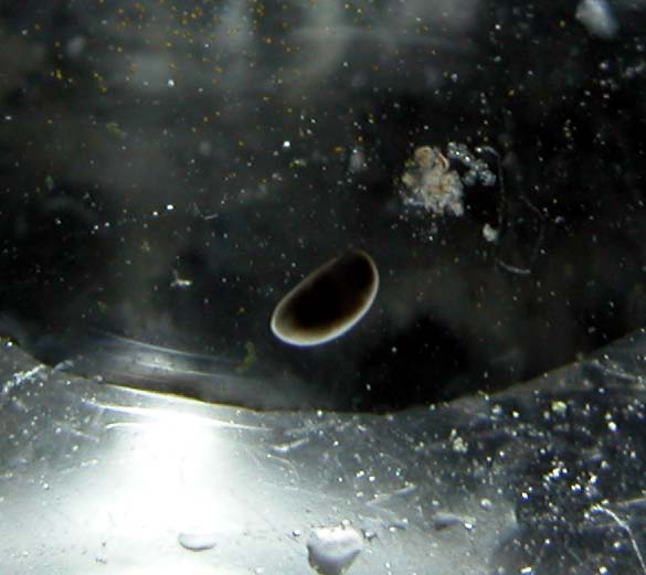 DSCN3007.jpg
