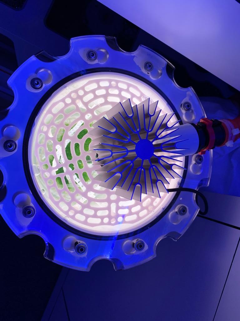 565ce6fcf889c8b838219c22a686292e.jpg
