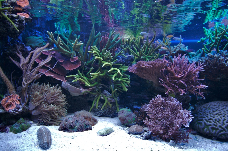2008-02-29_4.jpg