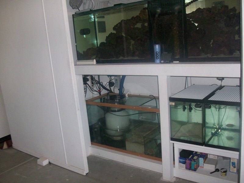 100_9864.jpg
