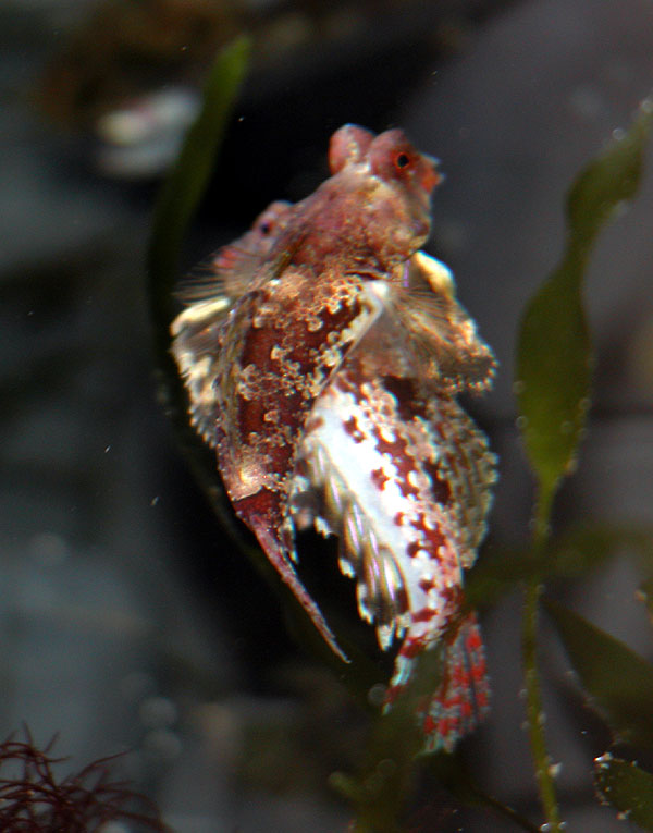 DSCN7880.jpg