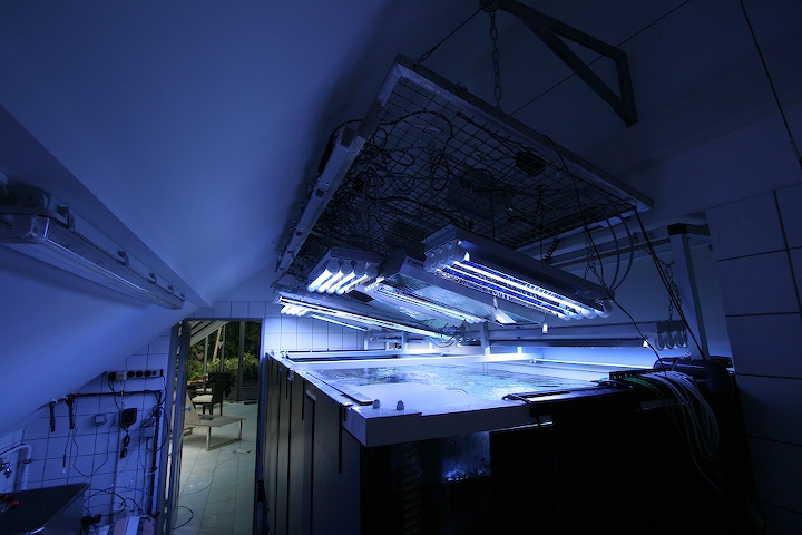 2-june_2006-6.jpg