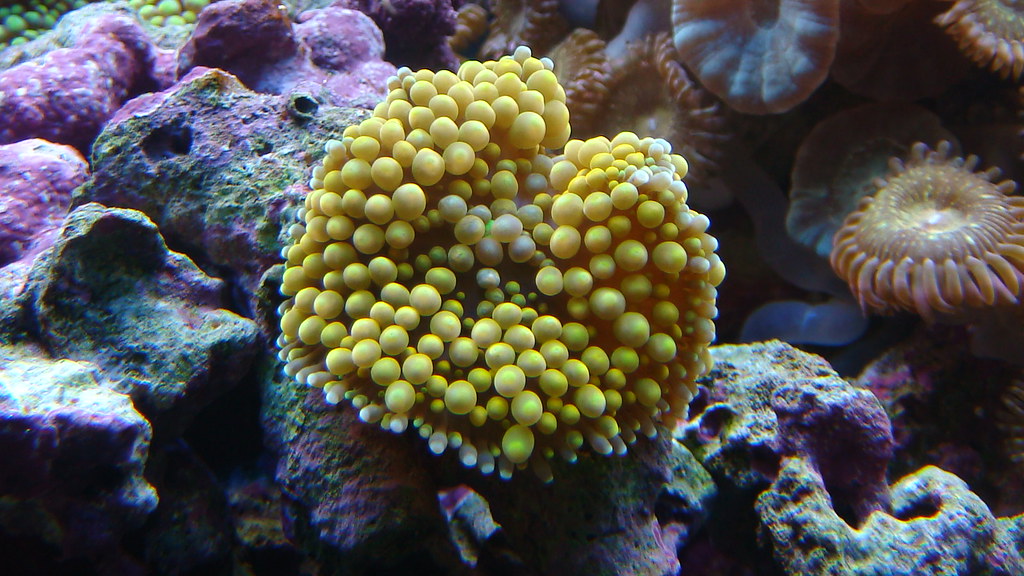 3751038736_682fcae388_b.jpg