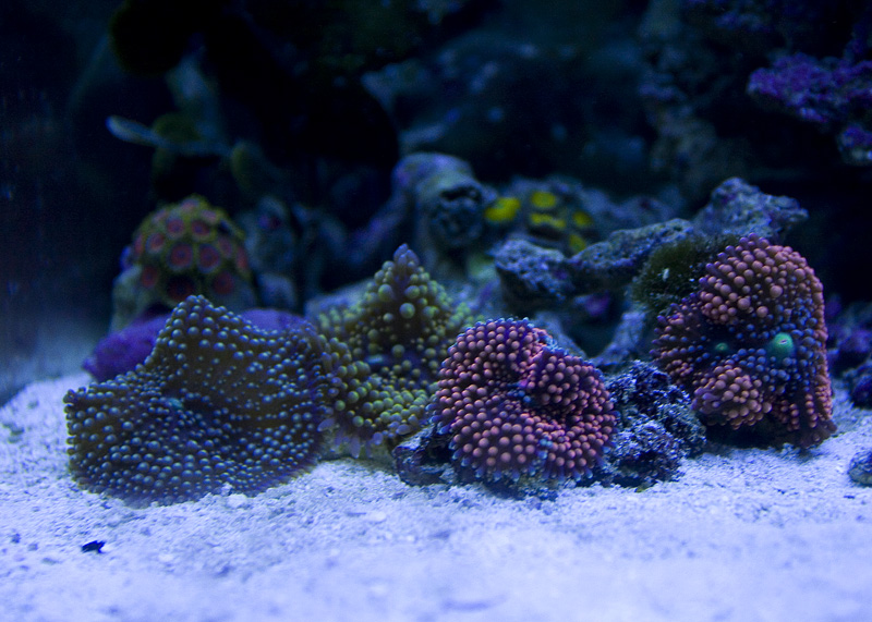 _MG_7438.jpg