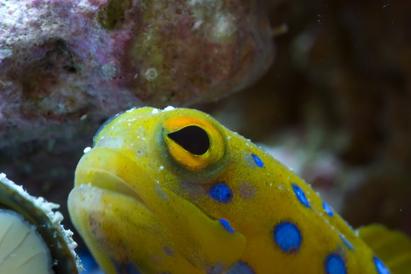 CRW_0906.jpg