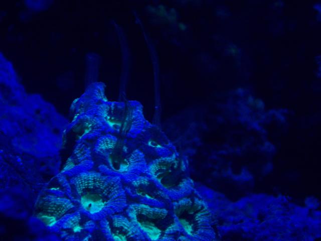 20080104_005209_102_3439_Small.JPG