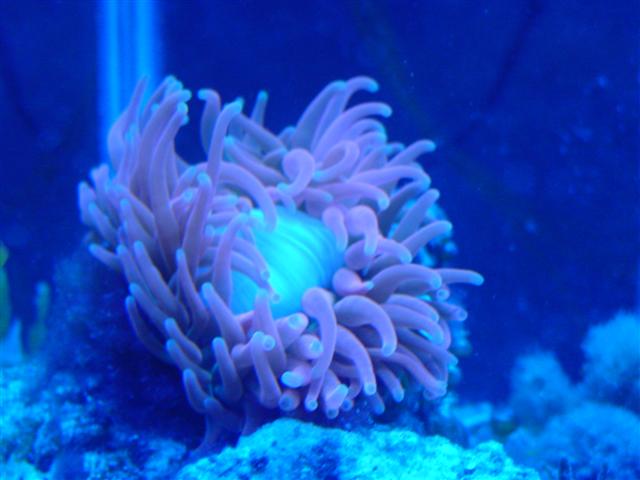 DSC00010 (small).jpg