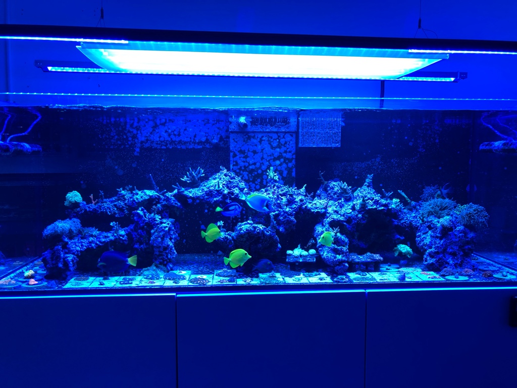 8f31a3ec40c00a78d15cb0a40f2ae19c.jpg