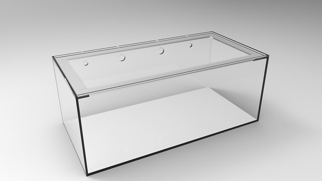 33078035860_35c3d5858f_z.jpg