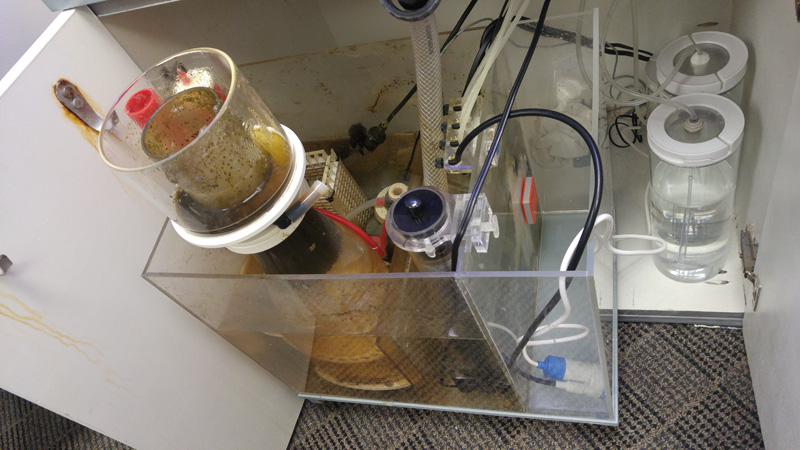 dirty_sump_011217.jpg