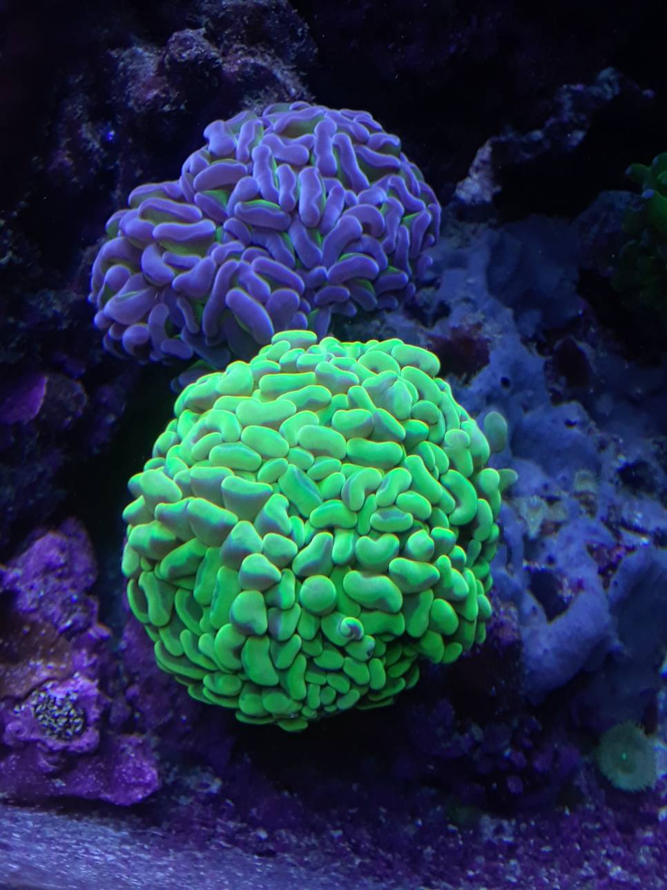 9689670e7b371c5b8df8affa83b245b0.jpg