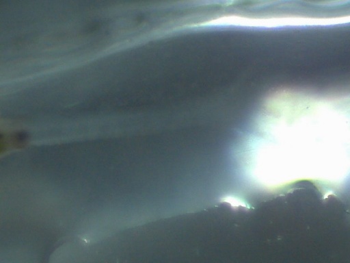 AL_287_4.jpg
