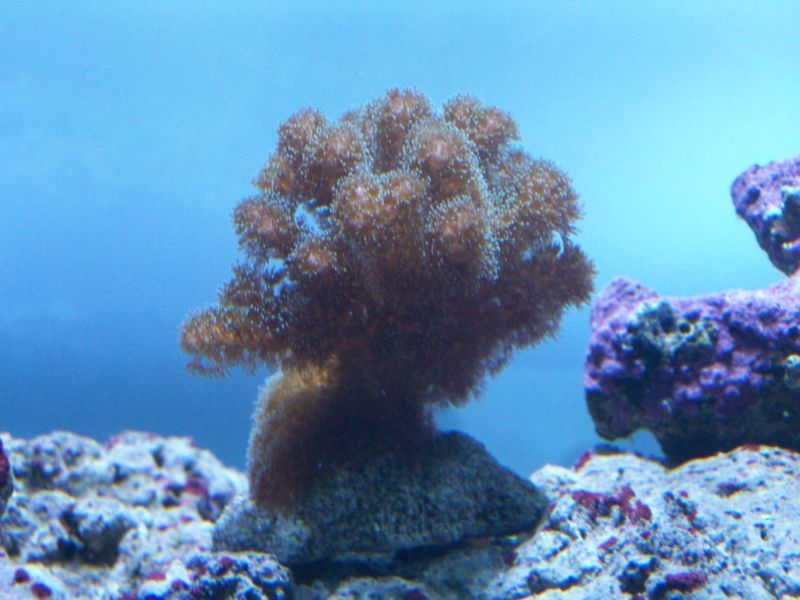 100_8530.jpg