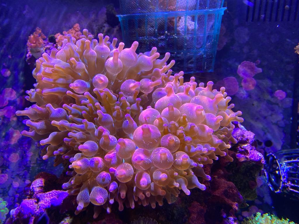 3a0293ac9f8d291b02f0502d9576ed56.jpg
