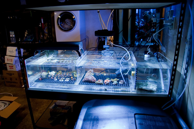 523957908_T8hLE-L.jpg
