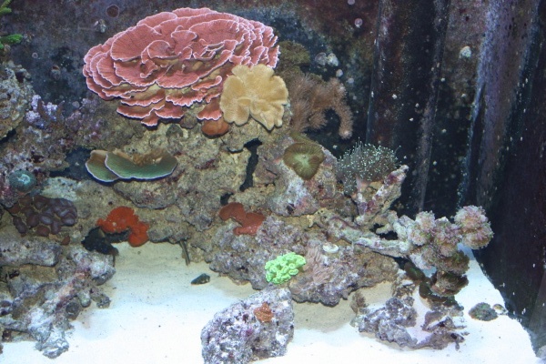 fts003.jpg
