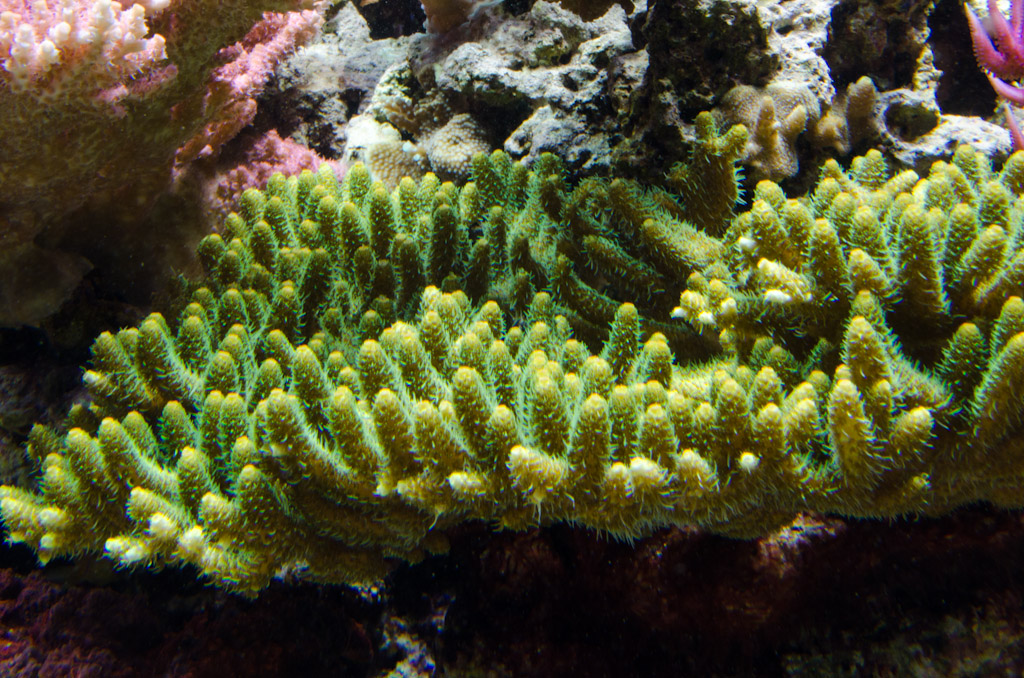 DSC_3736.jpg