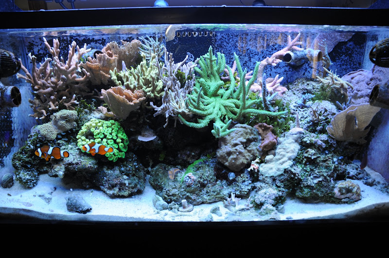 DSC_0369.JPG