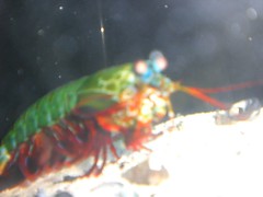 1128215297_07c58fe9cb_m.jpg