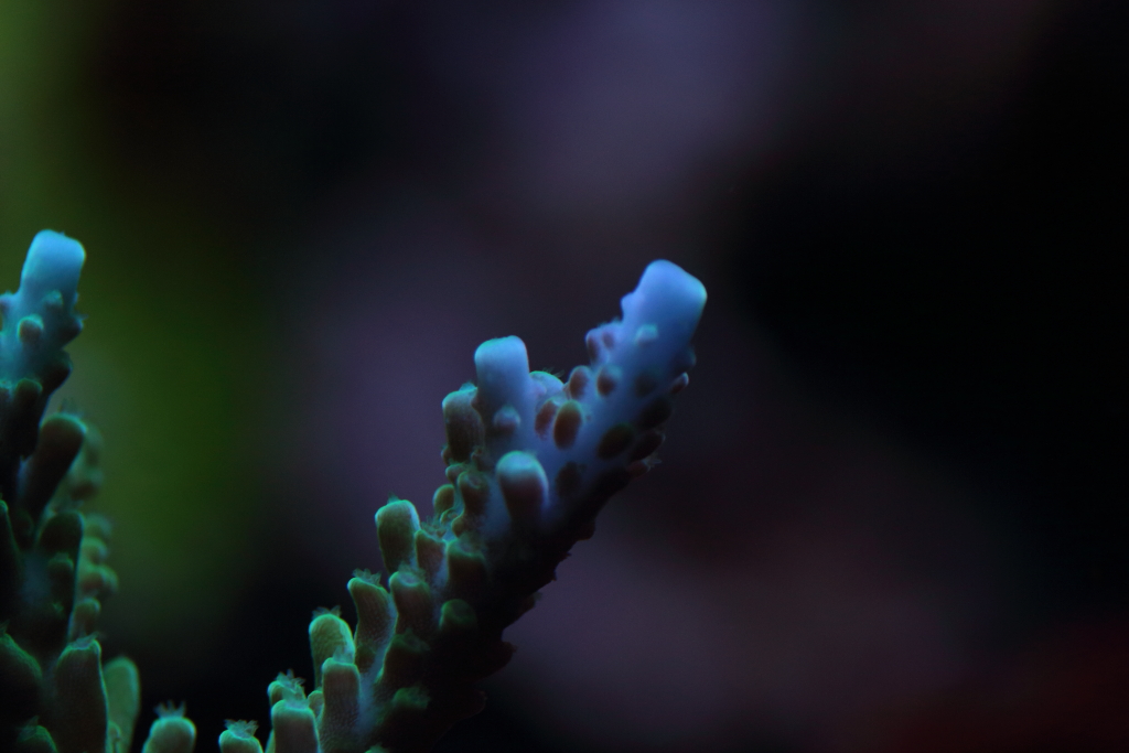 Nov2013M0062.JPG