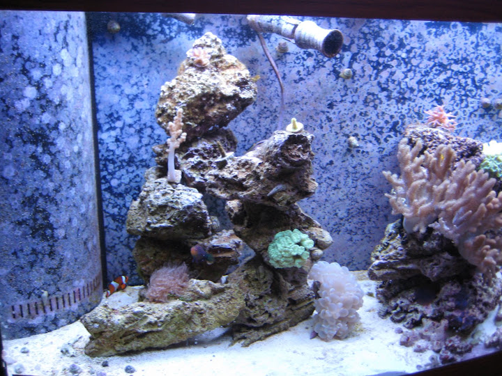 IMG_0662.JPG