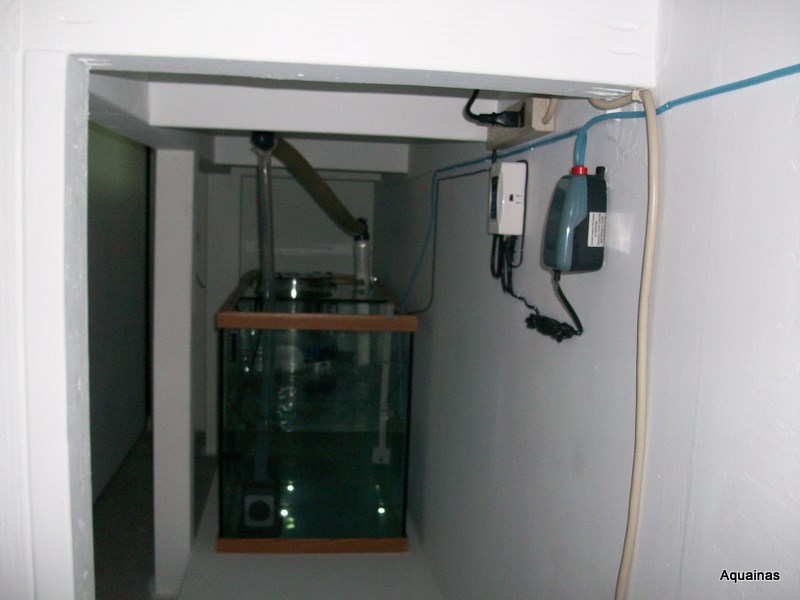 100_6540.jpg