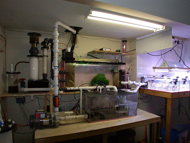 DSCN5706.jpg
