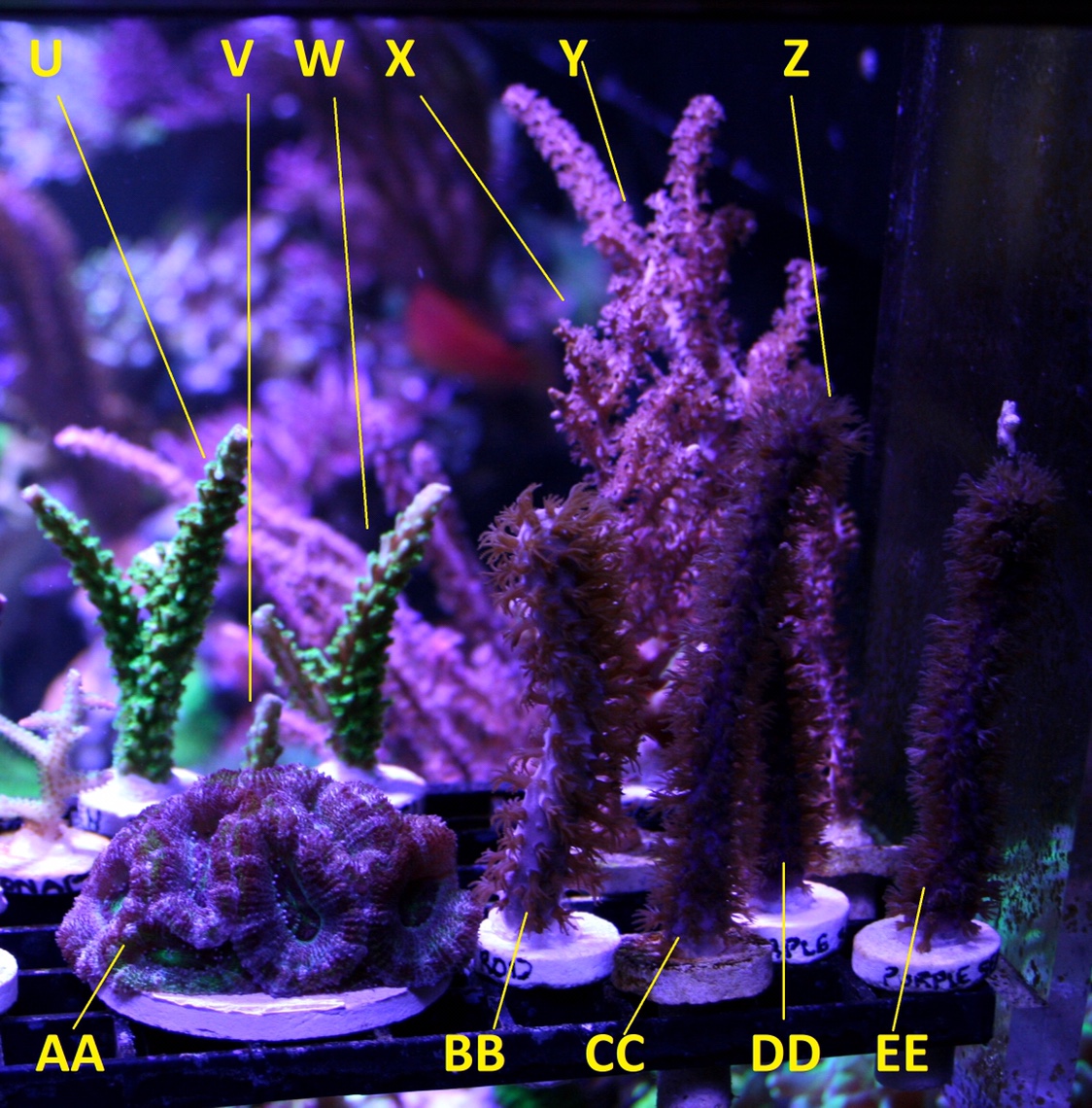 960f4897dc3616953f06469b0f090f8c.jpg