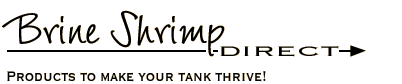 logo_text.gif