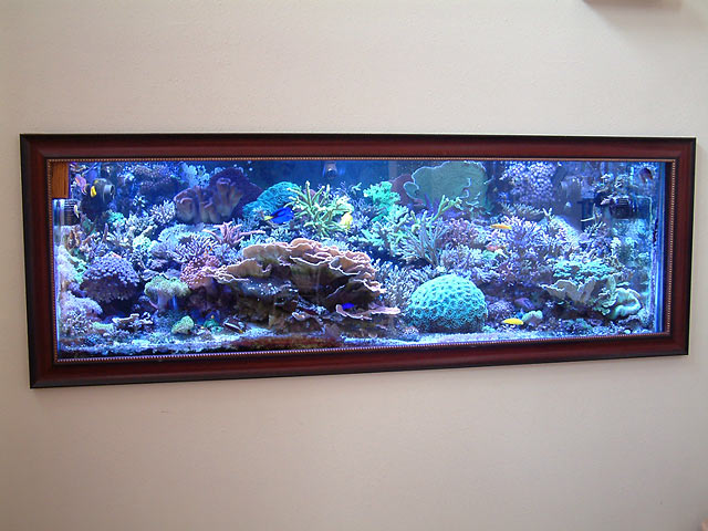 fishcraze_fts.jpg