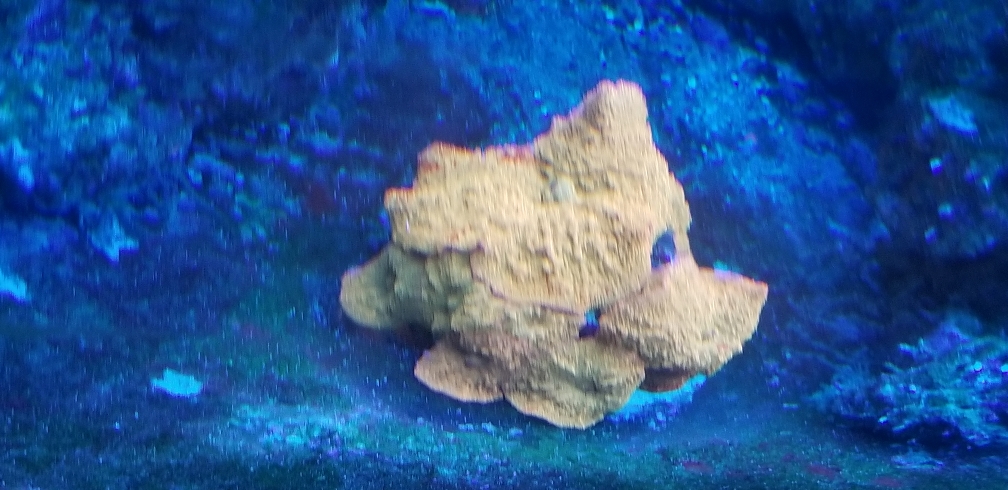 594e5391d36df0b347476f6f64b51c01.jpg
