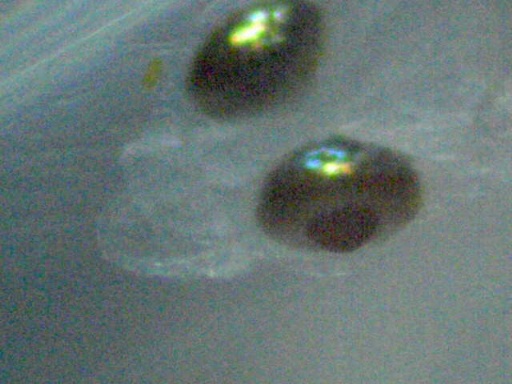 GBG_180_1.jpg