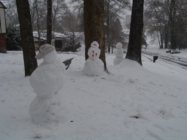 SnowmanExecution.jpg