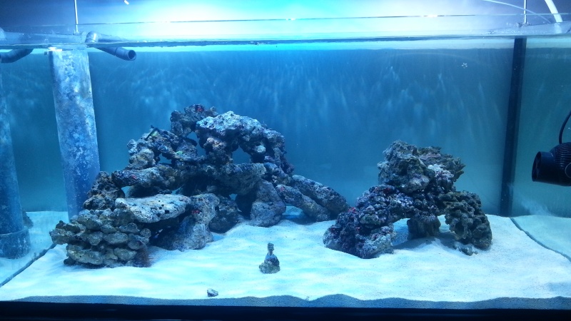 20130318.jpg