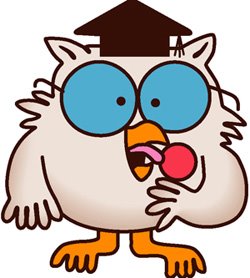 an+owl.jpg