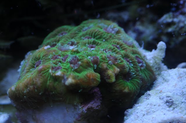 DSC_2289.JPG