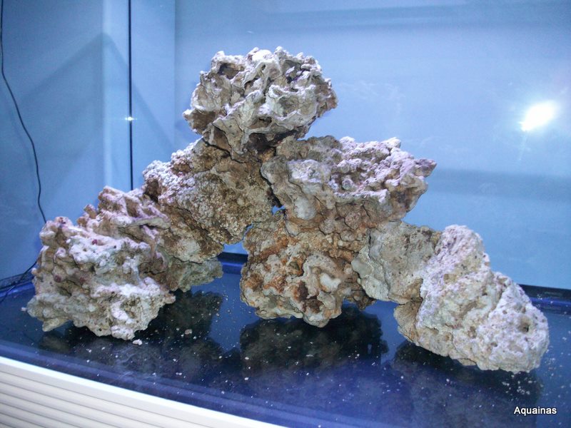 100_6715.jpg
