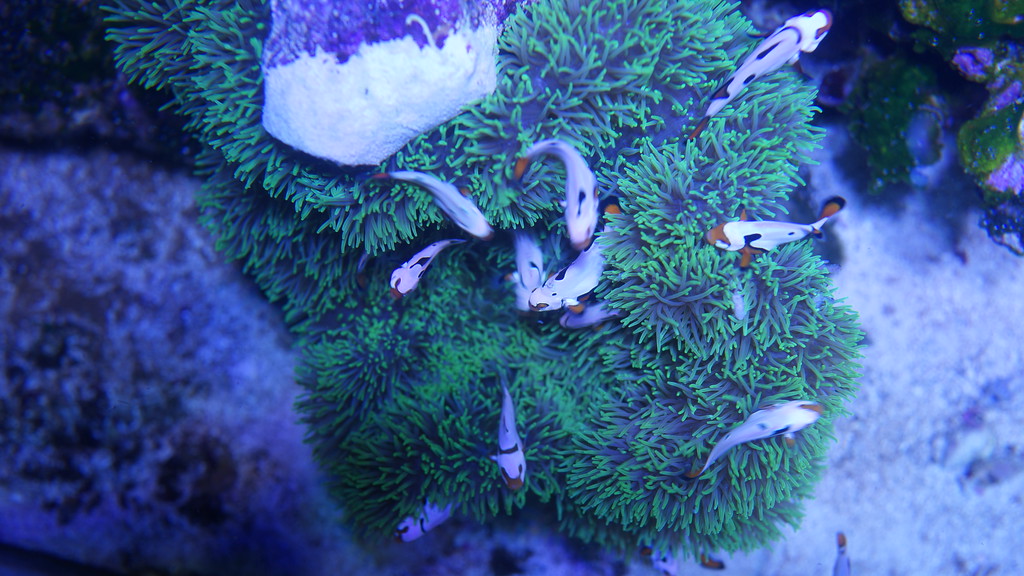 DSC06087-XL.jpg