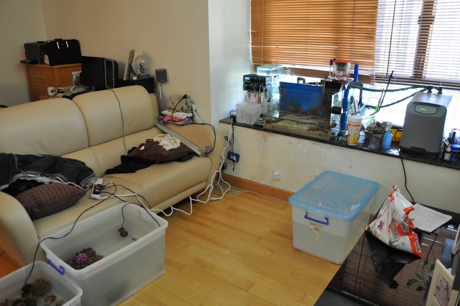 DSC_2483.JPG
