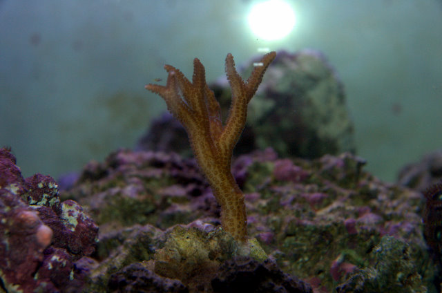DSC_9242.jpg