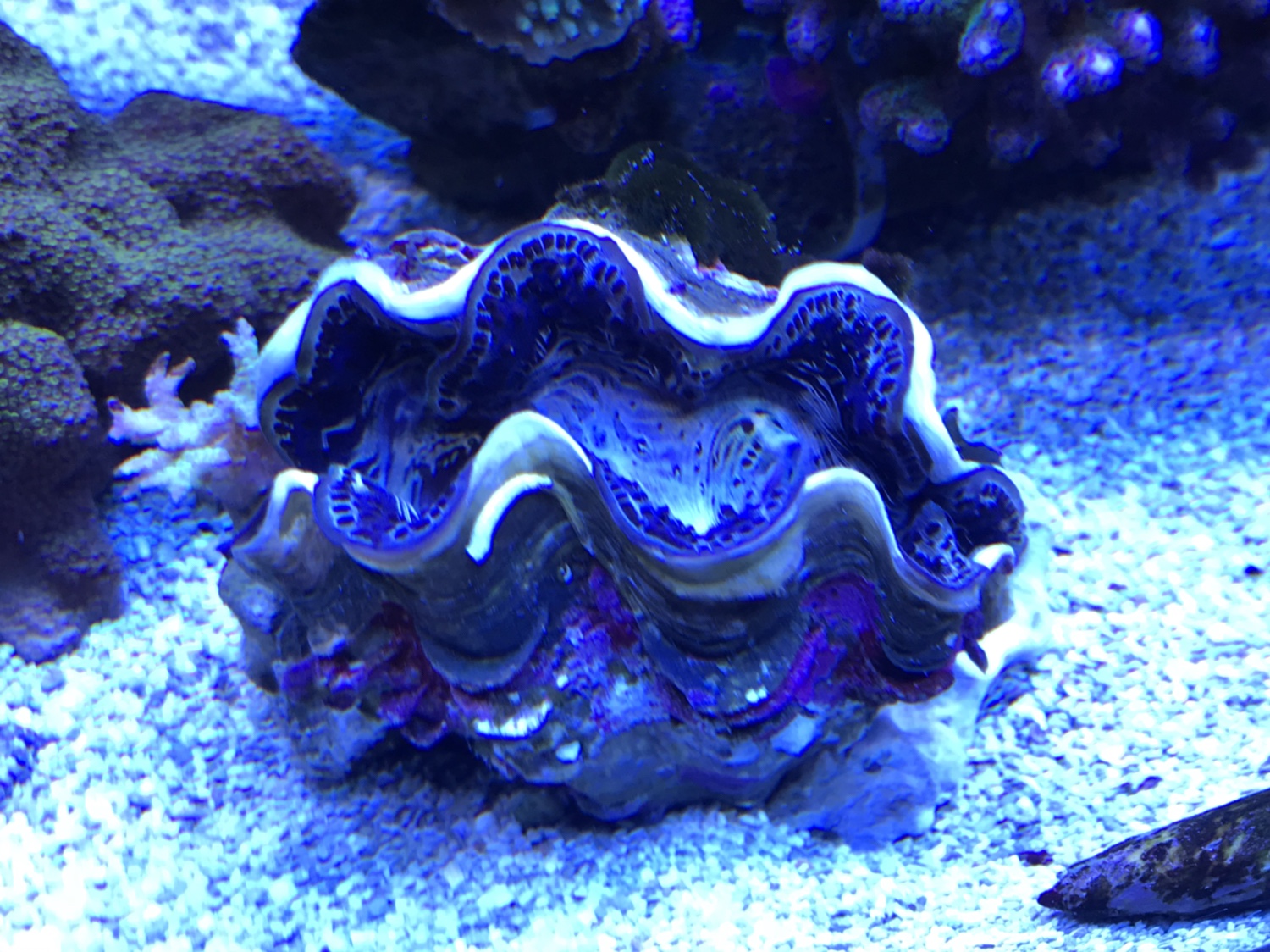 7b7fd000e1061eda081b0ae5964fcc7d.jpg