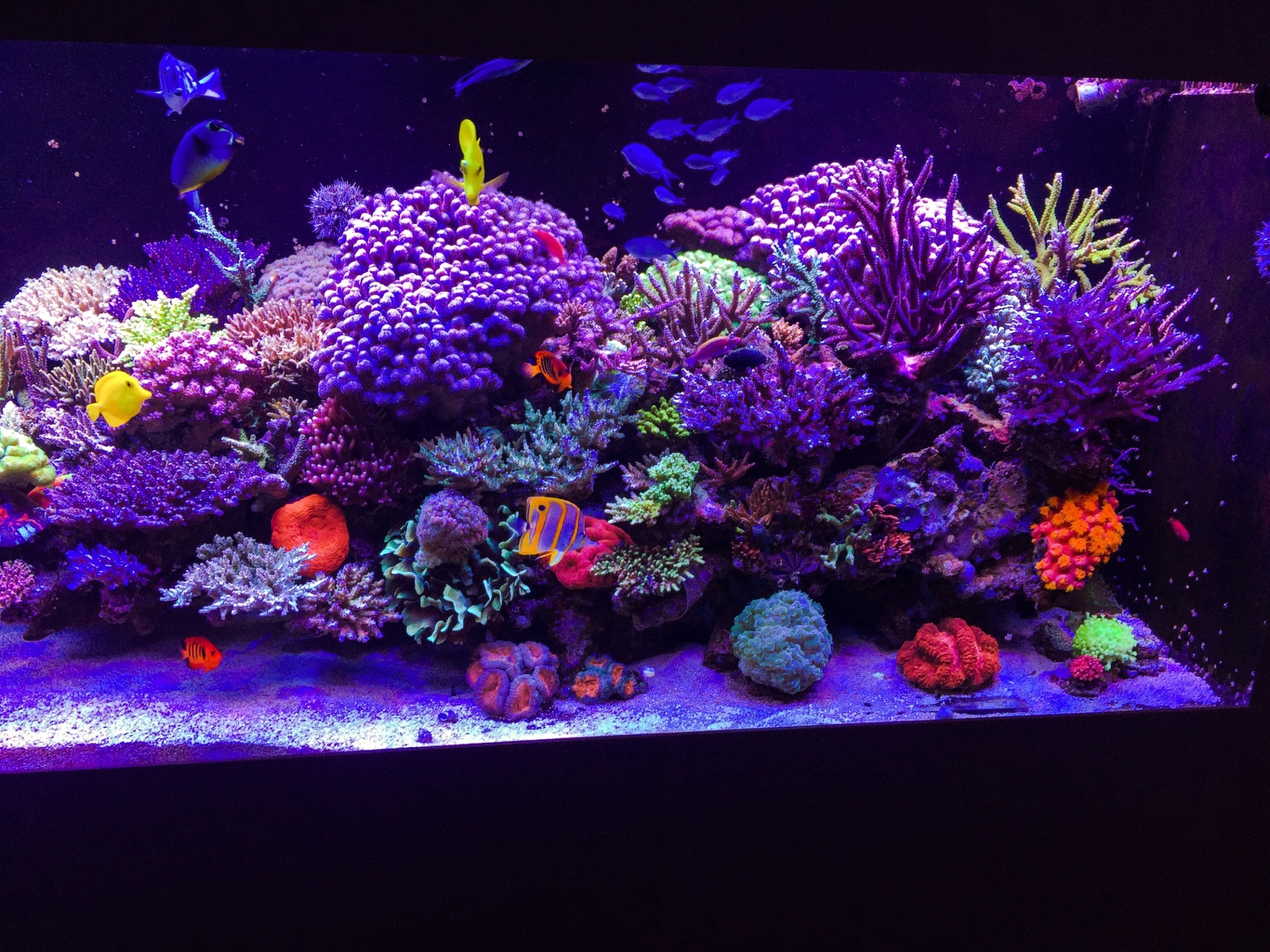 832d2e435847cc2a3771bfba5f353997.jpg