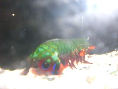 1128214869_529a0c430f_m.jpg