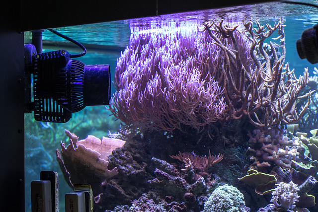 13406431554_2b7f94b4b8_z.jpg