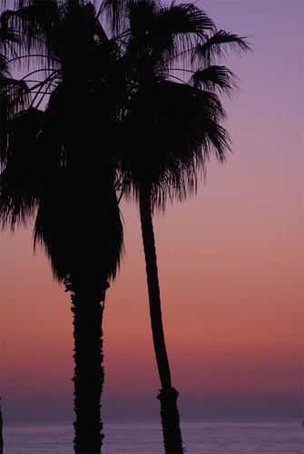 2768544992_b51285f0b7.jpg